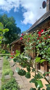 a garden with roses growing on the side of a house at Le Gîte du Vauvril in Saint-Usuge