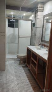 a bathroom with a toilet and a sink and a shower at Cómodo departamento equipado in Chihuahua