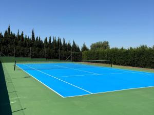 a tennis court with a blue tennis court at El Bosque del Duende - Ole Solutions in Arcos de la Frontera