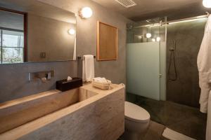 a bathroom with a sink and a toilet and a shower at Casa Levora in Mexico City +27 photos