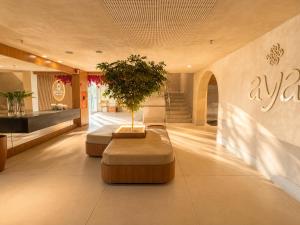 a lobby with two benches with a tree in it at Arraial Concept Hotel in Arraial do Cabo +22 photos
