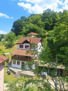 a house on the side of a hill with trees at Vila Dragica in Bogutovac