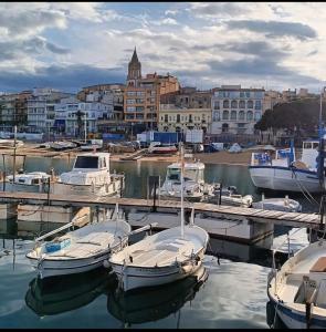 a group of boats docked at a dock in a harbor at Casa Maite in Palamós