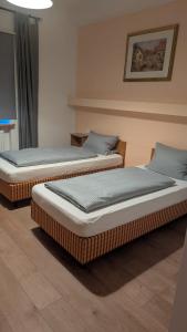 two twin beds sitting in a room with at Hotel Zachskorn UG in Erdweg
