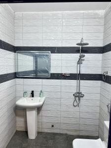 a bathroom with a sink and a shower at Apartment Luxueux a Cité Apix in Niadyorane