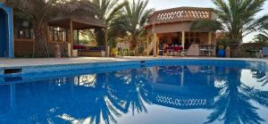 a swimming pool in front of a house at Oasis Tilogui-Luxury Hotel Restaurant and Desert Excursions In Zagora in Zagora