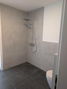 a bathroom with a shower and a toilet at Komfortables 2-Zimmer Apartment in Rinteln in Rinteln +9 photos
