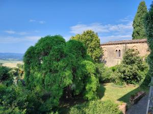 an overhead view of a large tree in front of a building at Le Guadalupe by Luigi in Volterra