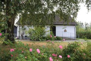 a small white house with a tree and pink flowers at Ottos Ferienhäuser in Rabenkirchen-Faulück