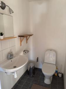 a bathroom with a white toilet and a sink at Smedjan Bed and Breakfast in Varberg
