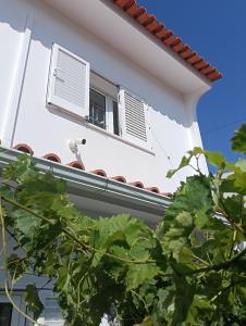 two windows on a white building with green vegetation at Vila les Roses Quartos Jardim e Montanha in Porches +14 photos