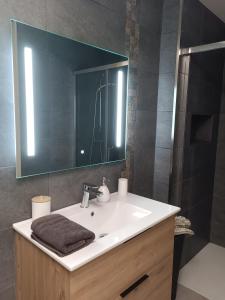 a bathroom with a sink and a mirror at Chambre indépendante in Le Vigan