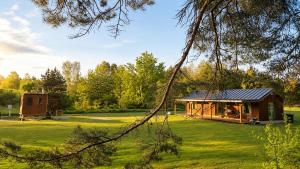 a cabin in the middle of a green field at Escape to Nature - Piparmētras in Mērsrags