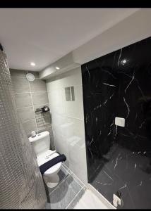 a bathroom with a toilet and a black marble wall at La cache cache in Saint-Géréon