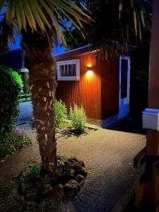 a palm tree in front of a red building at Palm89 in Warmenhuizen