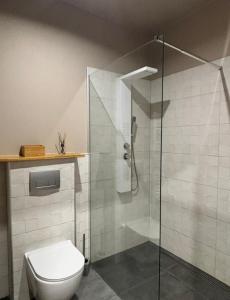 a bathroom with a toilet and a glass shower at Andrea Apartman in Alsóörs +6 photos
