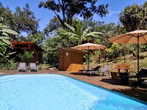 a swimming pool with chairs and umbrellas next to a house at Thoas Lodge in Coronado
