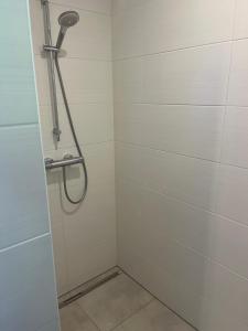 a shower with a shower head in a bathroom at SAAL am Pfarrhaus in Penzlin