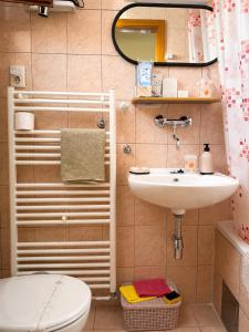 a bathroom with a sink and a toilet and a mirror at Studio apartman Hinko in Đakovo +21 photos