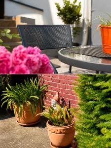 two pictures of potted plants sitting next to a table at Studio apartman Hinko in Đakovo