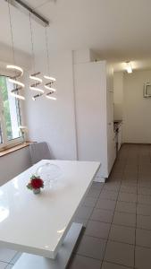 a white table with a flower on it in a kitchen at Messe-Badische SBB- grosse Wohnung in Basel +28 photos