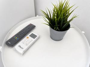 a remote control and a potted plant on a table at Casa da Aida - Fuzeta in Fuzeta