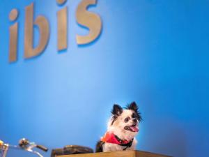a dog is sitting on top of a table at ibis Hotel Brussels Expo Atomium in Brussels