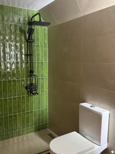a green tiled bathroom with a toilet and a shower at Tera Cottages kazbegi in Kazbegi +7 photos