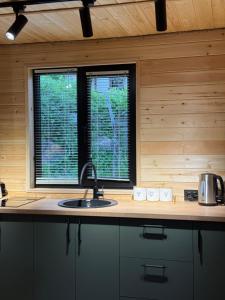 a kitchen with a sink and two windows at Tera Cottages kazbegi in Kazbegi