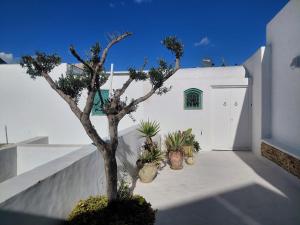 a white garage with potted plants and a tree at Dar Valou in Radès