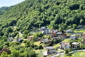 a small town in front of a mountain at Pian delle Betulle Alpine Loft in Margno