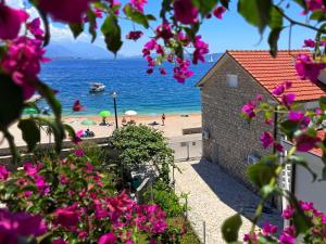 a beach with a building and pink flowers at Apartment Orange Blossom First Line & Pool 2 in Bijela