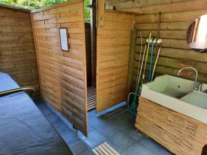 a bathroom with a sink in a wooden wall at Chalet dans la nature avec spa in Espins +19 photos