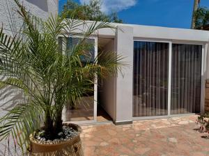 a plant in a pot in front of a building at Vila Jeti in Ksamil +69 photos
