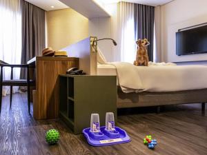 a dog sitting on a bed in a room at Mercure Florianópolis in Florianópolis +168 photos