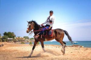 a man riding a horse on the beach at blue Bird in Nuweiba‘ el Muzeinah