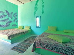 a bedroom with two beds and a green wall at blue Bird in Nuweiba‘ el Muzeinah
