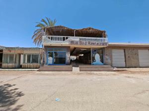an old building with a shop with a palm tree at blue Bird in Nuweiba‘ el Muzeinah