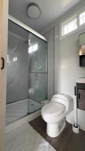 a bathroom with a toilet and a glass shower at Leha's Apartaments in Buenos Aires +15 photos