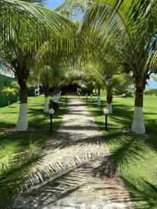 a row of palm trees in a park at Apartamento térreo com 3 quartos no Tree Bies- próximo do parque aquático infantil in Subaúma