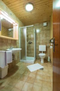 e bagno con doccia, servizi igienici e lavandino. di Apartments Sodja a Bohinj