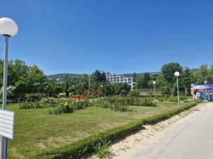 ein Park mit Blumen und Pflanzen am Straßenrand in der Unterkunft Dan-Mari in Baltschik