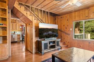a living room with a flat screen tv on a wooden wall at SPSL Lake Arrowhead llc in Lake Arrowhead