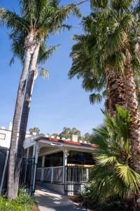 a building with palm trees in front of it at Tocumwal Hotel Motel in Tocumwal