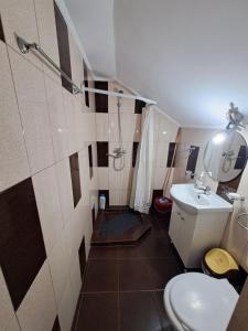 a small bathroom with a toilet and a sink at Casa Cristalul Muntilor in Poiana Mărului +103 photos
