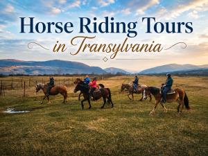 a group of people riding horses in a field at Casa Dives - Varianta Boierească in Pianu de Sus