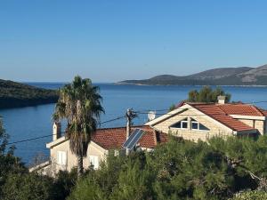 a house with a palm tree next to the water at Kalina in Bigova