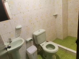 a bathroom with a toilet and a sink at Hostal Salome in Cochabamba