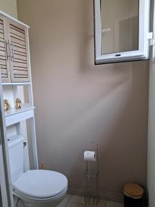 a bathroom with a white toilet and a mirror at La Parenthèse 2 Rêves in Saint-Joseph