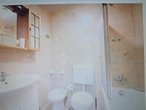 a bathroom with a shower and a toilet and a sink at il Battito in Saint Vincent +62 photos
